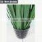 Home decoration species potted grass wide blade grass artificial onion grass for appeciation