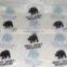 PE Full Printing Poncho Mexican for Promotion