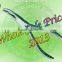 Weingart Utility Plier Orthodontic Dental Instruments
