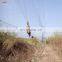 Agricultural Bird netting for Catching Birds/mist net/bird netting for sale