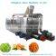 industrial big model mesh belt drying or dryer machine used for Raisins, dried apricots/net-belt dryer