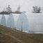 Single-/Multi-Span Plastic Film Greenhouse for Africa Vegetable Planting