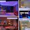 Waterproof IP68 flexible led strip 5050 DC24V Strip Lights