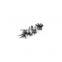 Diesel Engine Part ISF3.8 Chinese Crankshaft 5261375