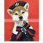 Spring Autumn Dog Clothes Butterfly Decorated Coat Lovely Schnauzer Corgi Teddy Pomeranian Pet Clothing