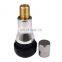 HOT Sale Brass Zinc Tr413 Tubless Snap-in Tire Valve