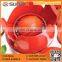 Top Selling Kitchen Vegetable and Tomato Slicer Cutter