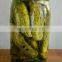 High quality best selling pickled cucumber/Tasty Pickled Cucumbers Best Price from Vietnam