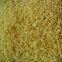 frozen ginger diced