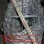 hot- dip galvanizing