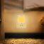 Auto LED Night Light Lamp with smart sensor control mini dawn in wall outlet bed baby children sleeping light