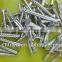 wood screw factory in China