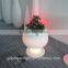 New PE plastic Flowerpot with LED light 4151C
