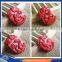 Red cinnabar zodiac pendant 12 chinese zodiac animals pendant for sale