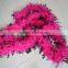 Wholesale Feather Boas 40G Pink With Black Tips Chandelle Feather Boa Dress Up