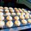 SY-840 Cookies manufacturing equipment/cookies producing machine