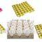 egg tray egg carton pulp molding paper making machine