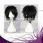 Fashion Black Short Straight Synthetic Wigs