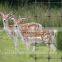 Animal fence net,BOP animal/deer control fence netting