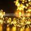 Warm White Color Led Wire Copper String Lights