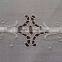 Hand embroidered white cotton table cloth No.8