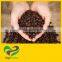 Best Vanilla Aroma Flavor Coffee Bean - Service OEM Brand