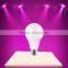 Hot Selling High Lumen Luminous Bulbs