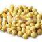 Canned mushroom with good quality for sale