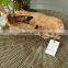 Natural And Eco-friendly Root Carving Wooden Plate for Decoration