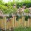 Bamboo Pole and Newest Styles of Bamboo Fence