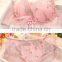 Retro Floral Bind Sexy Bra Adjustable Back Closure Sexy Bra and Panty New Design Ladies Bra