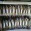 Chinese Factory Best Quality Crab