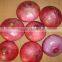 price of onions 2015 crop