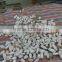 Waste PET Bottle Label Cap Separating Machine