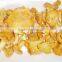 dried mushroom cantharellus cibarius