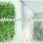 Japanese Flavor Seasoned Wakame