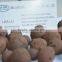buy hydro clay pebble for vertical hydroponic garden