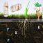 Agrolik humic acid liquid price hot hot hot