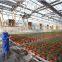 Greenhouse Irrigation Fog Machine