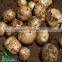 Farm machinery manual potato planter for sale