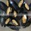 Frozen precooked half shell blue mussel