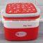 Double layers portalbe square plastic tiffin lunch box