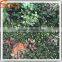Latest design plastic vertical garden green wall system