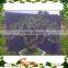 ANTIQUE ARTIFICIAL POTTED TREE CHINESE BONSAI PINE TREE LOOKS REAL