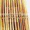reed screening for privacy in garden