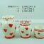 Ceramic Vase for Home Decoration