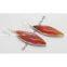 Agate Earring