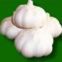 pure white garlic 250g/mesh bag