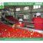tomato paste prcocessing line