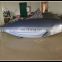 advertising inflatable fish model , inflatable fish shape for sale